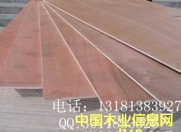 ���ڰ��b���z�ϰ��Ԕ����B