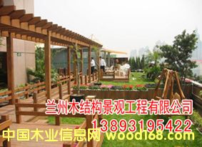 ����ľ�ȼ�