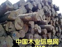 �灆�ǾGо��ľ���M(j��n)�ڈ�(b��o)�P(gu��n)����-�Ϻ���ۼtľ�M(j��n)�ڈ�(b��o)�P(gu��n)��˾