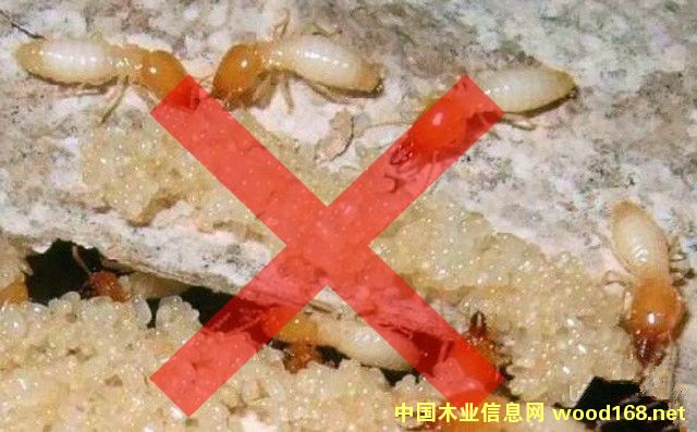 FKľ�Ě��x����Ԕ��(x��)��B