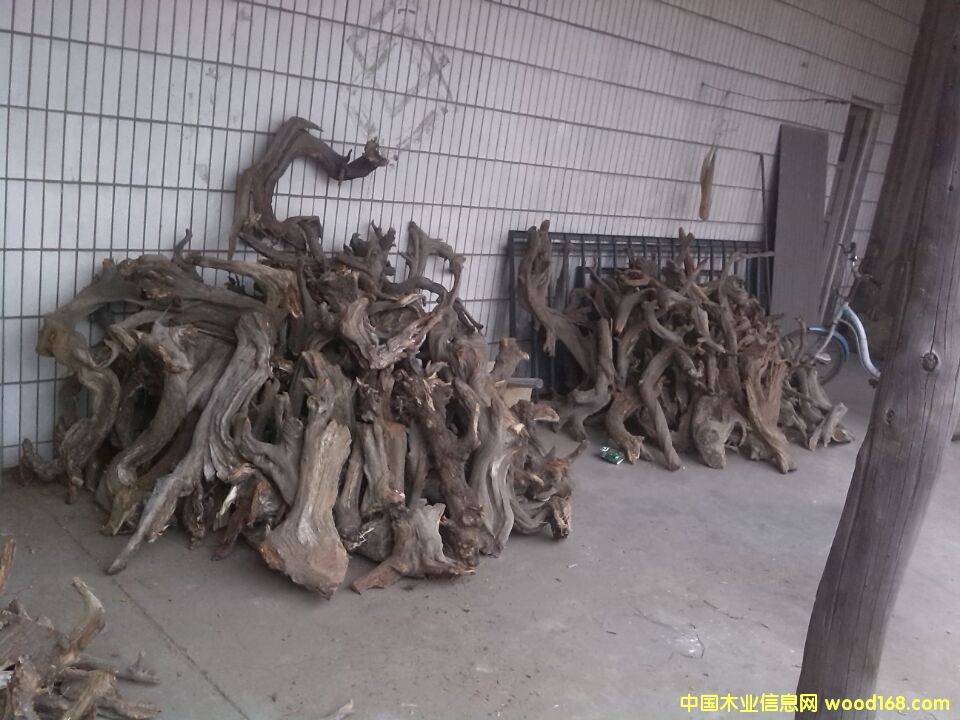 �c���鿴��(y��u)�|(zh��)�°طŴ�DƬ