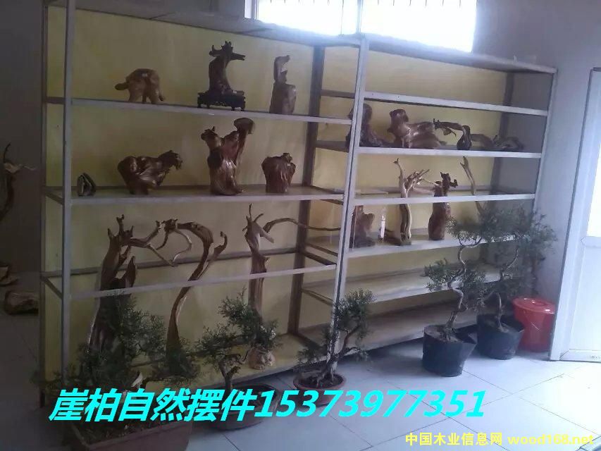 �°���Ȼ�[��