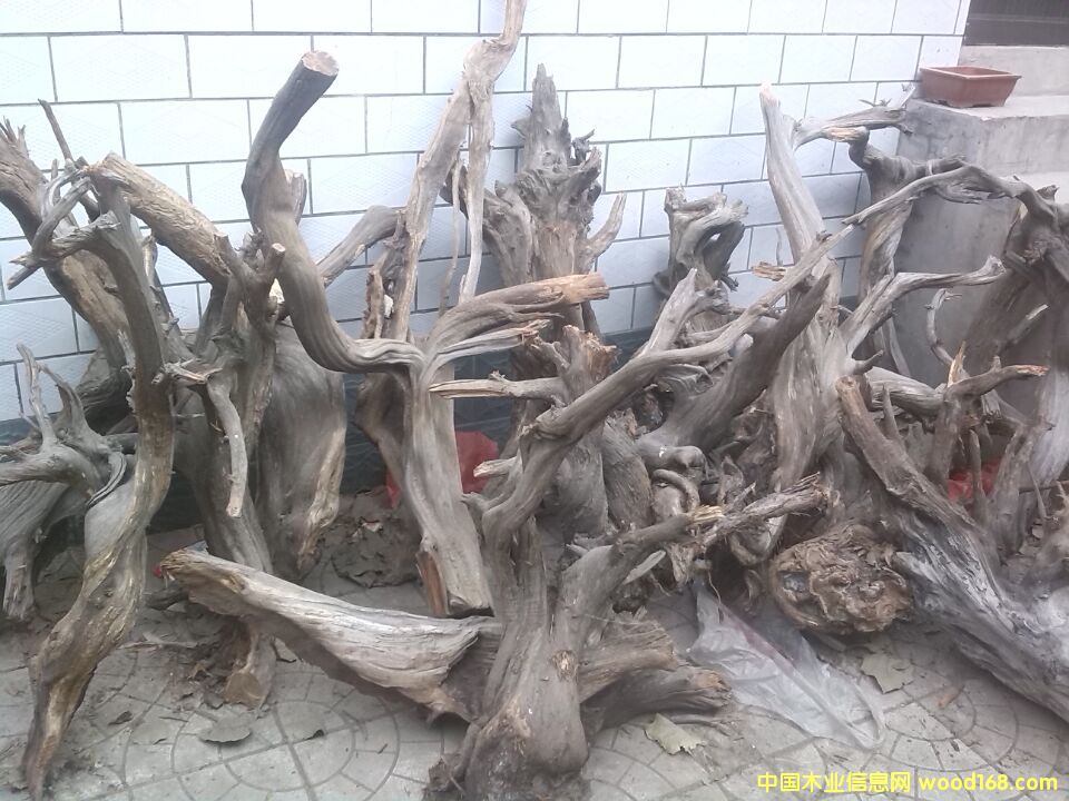 �c���鿴�°طŴ�DƬ