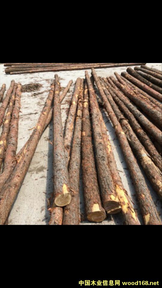 ���~����ľ����Ԕ��(x��)��B