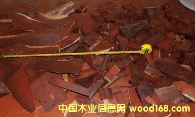 ӡ��С�~��̴�����