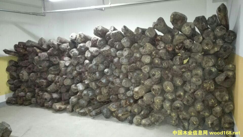 小葉紫檀的詳細(xì)介紹