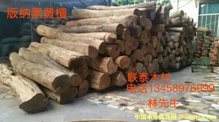 ��{���S̴��Ԕ��(x��)��B