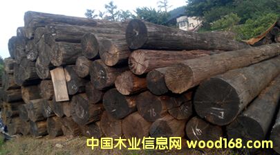 ����+�ͻ�+��ľ+�ľ��Ԕ��(x��)��B