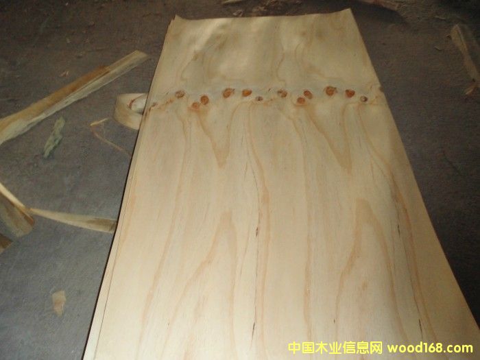 �c���鿴ݗ���Ɇΰ�Ŵ�DƬ