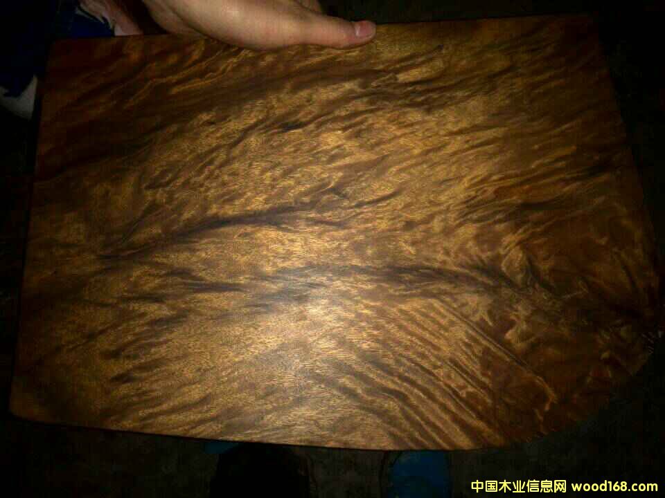 �c���鿴��z�ꎳ�ľ�Ŵ�DƬ