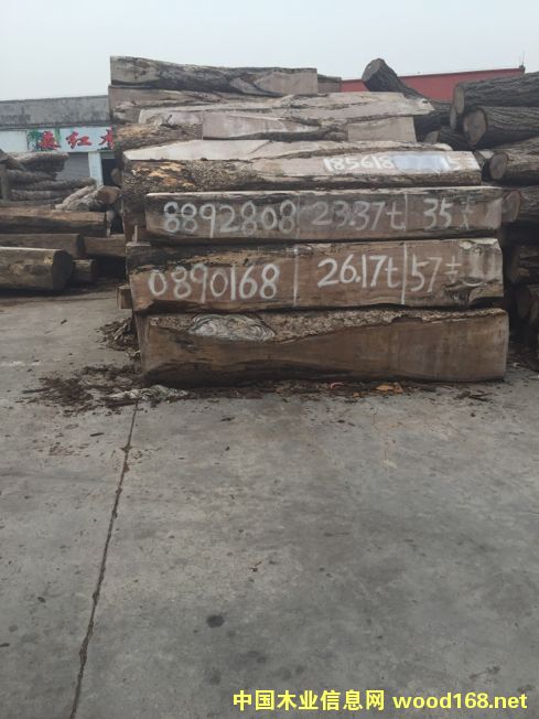 ���ѵ�Ԕ����B