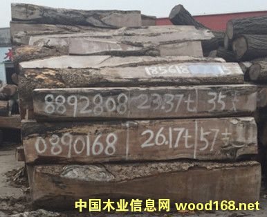 �V�ݾ��ѵ�Ԕ����B