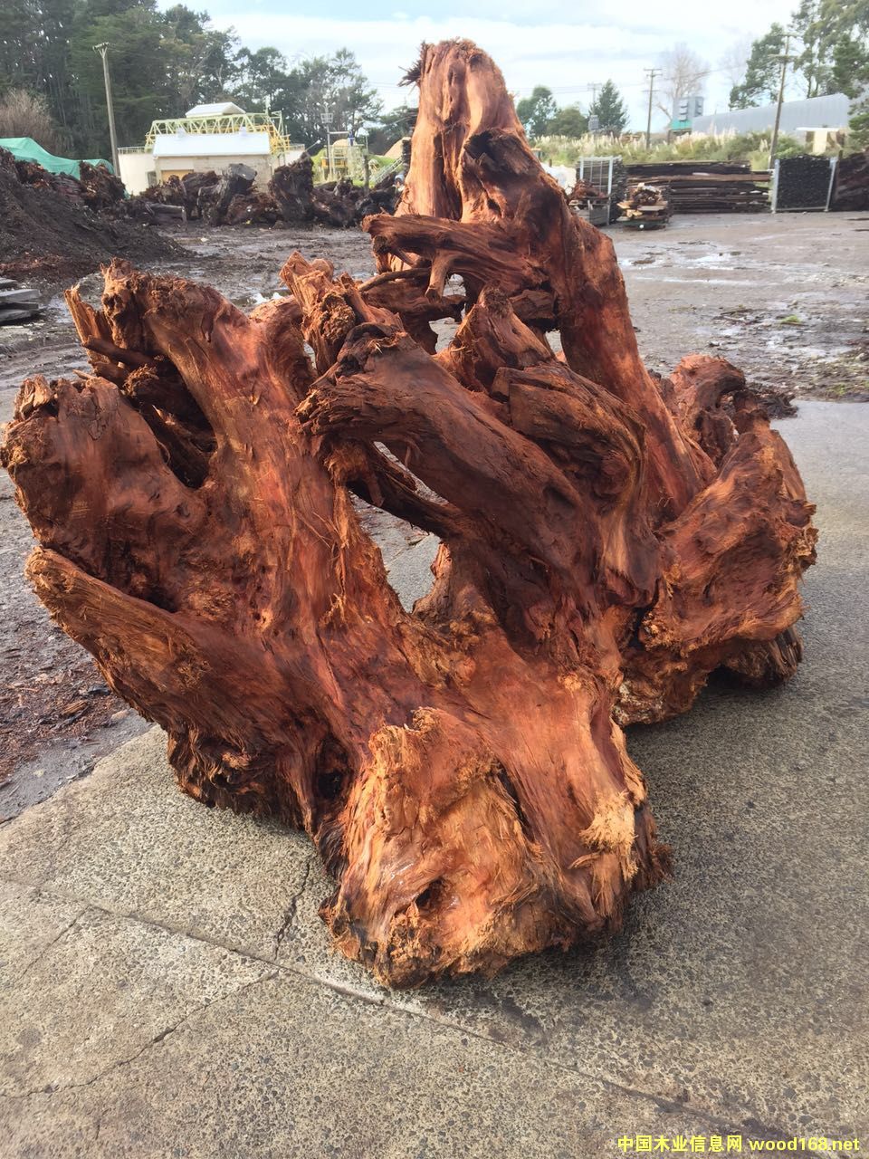 �����m���f��ꎳ�ľԭľ�����Ԕ��(x��)��B