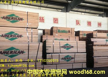 �t���Ԕ��(x��)��B