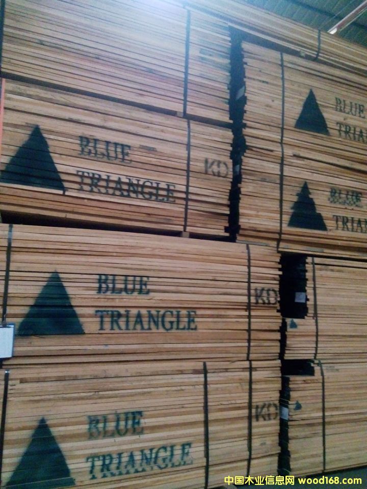 �t��4/4������Ԕ��(x��)��B