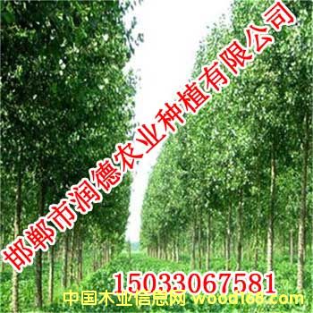 �c���鿴�W��108�Ŵ�DƬ