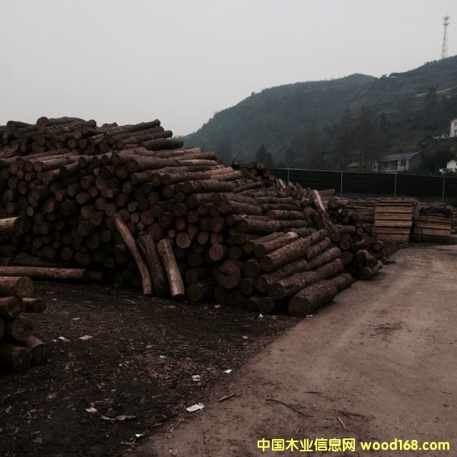 ��(ch��ng)�خa(ch��n)Ʒ�A(y��)�[��Ԕ��(x��)��B