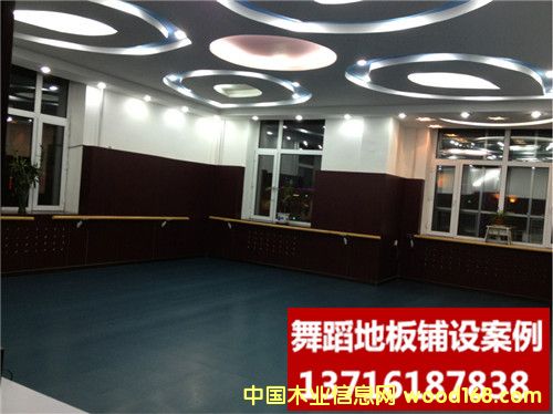 �赸���ҵ��z