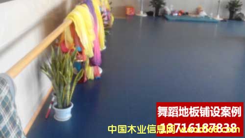 �c(di��n)���鿴�赸���ҵ��z�Ŵ�DƬ