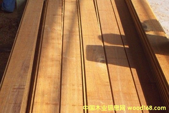 ���޲��}���Ԕ����B