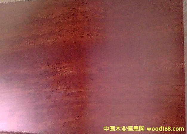 ���޲��}��ذ��Ԕ����B