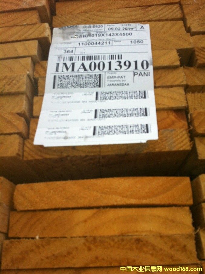 輻射松的詳細介紹