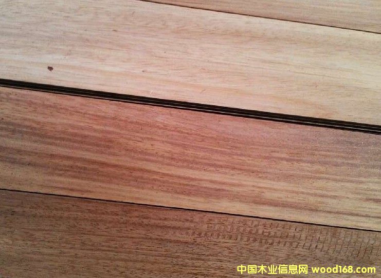 柚木的詳細介紹