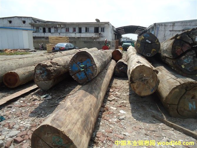 [��] ��¡ľ�����É|ľ����ľ���ڂ��ҵȸ��NӲľ����l(f��)�r��ă�(y��u)