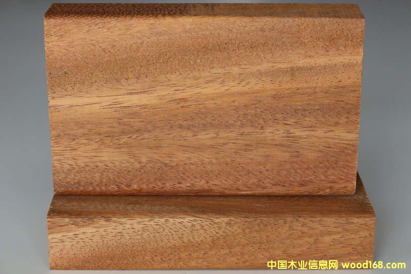 [��] ���޲��}����Ȼ����ľ