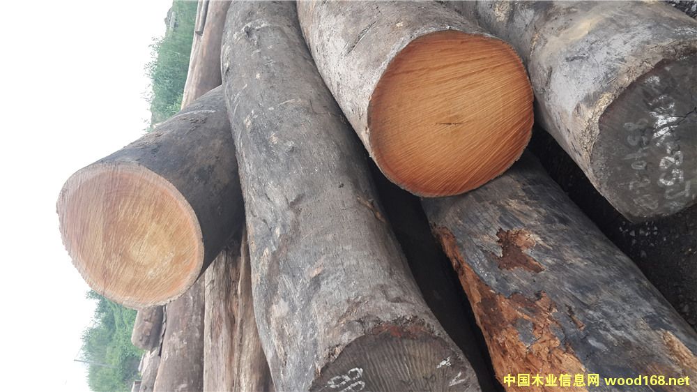 [��] ���É|ľ��ľ-��¡ľ�|ľ���ڂ��҉|ľ