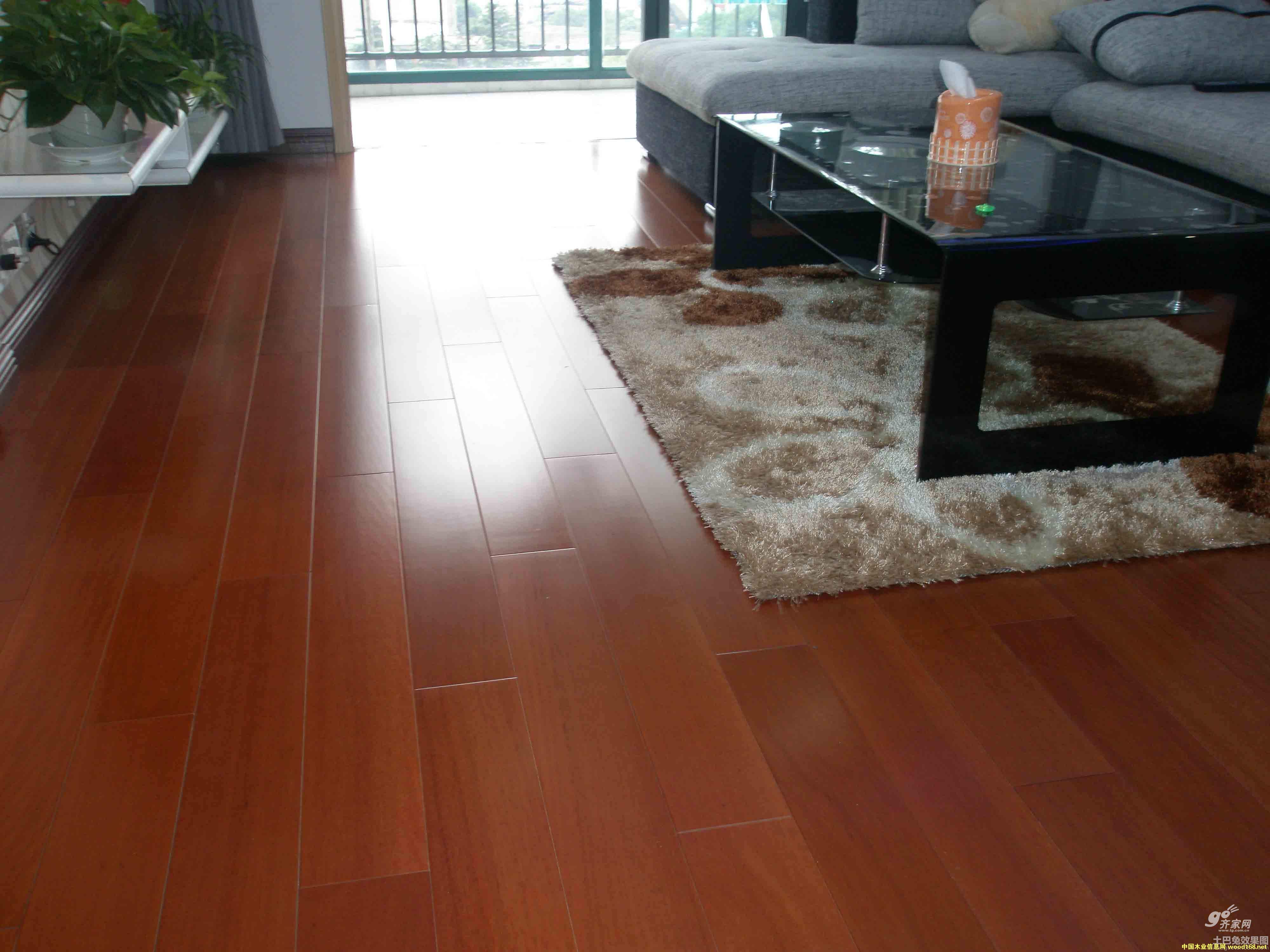 ��(sh��)ľ̼�w�S�ذ�Ʒ�������Ƶ�Ԕ��(x��)��B