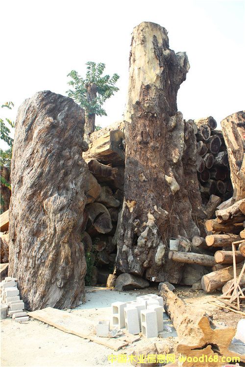 �S��骾ޘ��Ԕ��(x��)��B