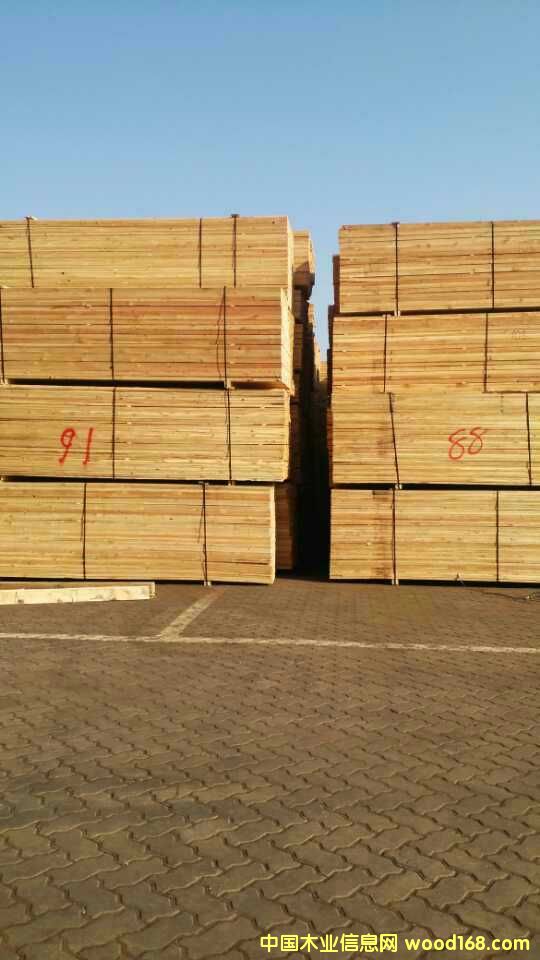 ���_˹����������~�ɰ��