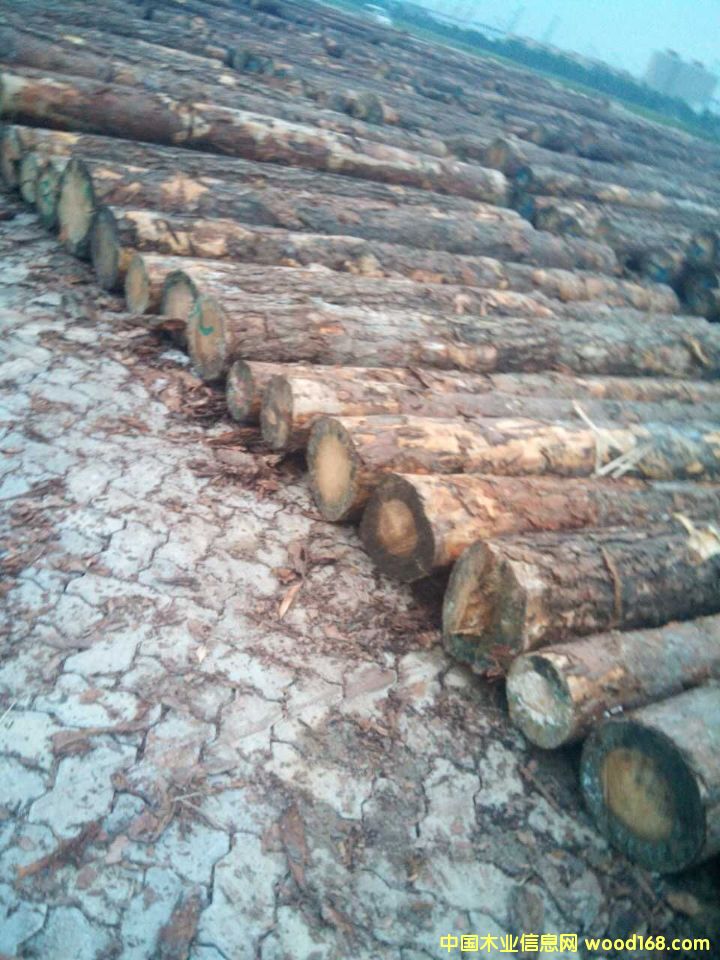 �����m�����ɵ�Ԕ��(x��)��B