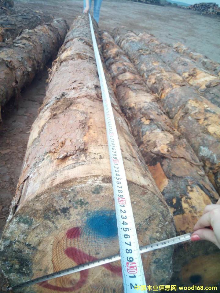 �����m�����ɵ�Ԕ��(x��)��B