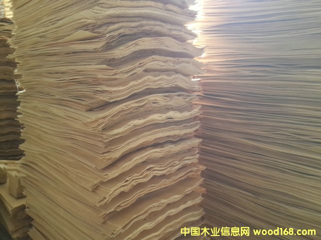 ��ľƤ��Ԕ����B