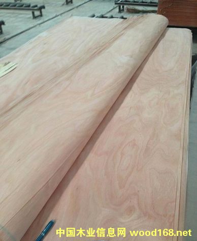 �W�����һ�о�ΰ��Ԕ��(x��)��B