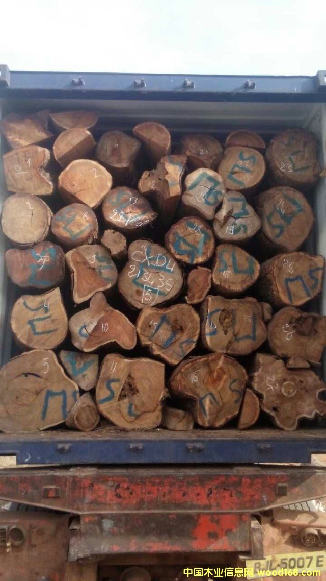 �����̴��Ԕ��(x��)��B