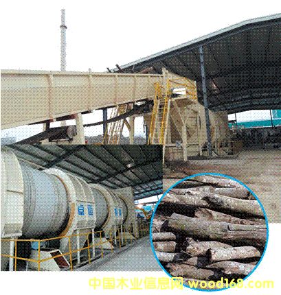 ���Ϲ��΄�Ƥ���a(ch��n)����Ԕ��(x��)��B