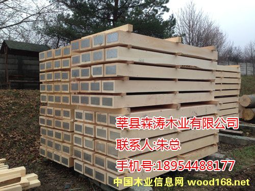 ���N��ľ��Ԕ��(x��)��B