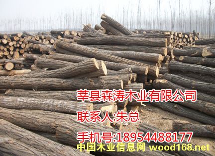 雜木的詳細(xì)介紹