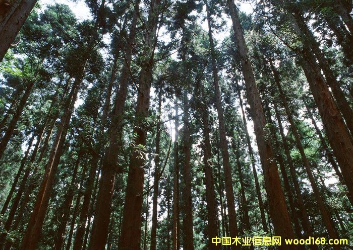 �c(di��n)���鿴ɼľ�ַŴ�DƬ