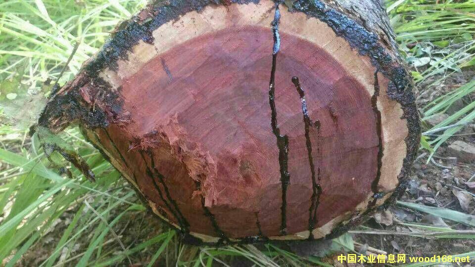 ٝ�ȁ�Ѫ̴��Ԕ��(x��)��B