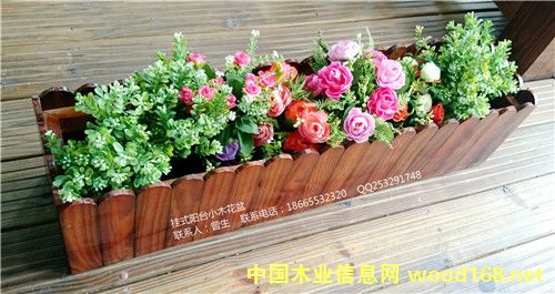 [��] ��ɽ���S�������l(f��)�(y��ng)�_(t��i)��Ʒ �h(hu��n)����(sh��)ľ�L(zh��ng)���λ��� ����ľ���ۑ�����ľ����