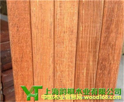 �c���鿴����Ҿ߷Ŵ�DƬ