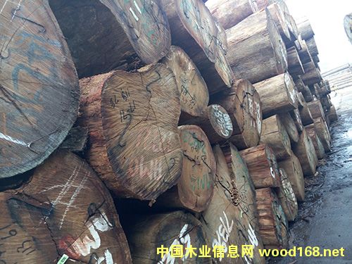 ��Ī����Ԕ��(x��)��B