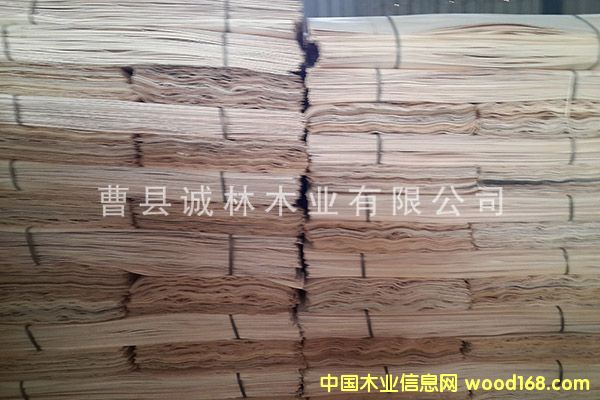 �c���鿴��ľƤ�Ŵ�DƬ