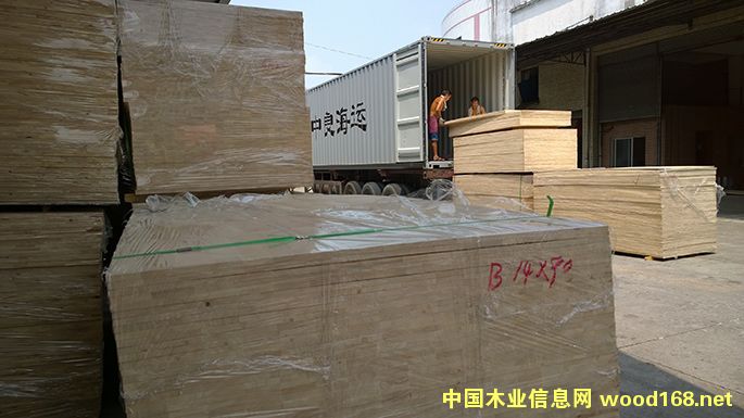 �M(j��n)�����zľָ�Ӱ�16AA