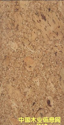 �c(di��n)���鿴ܛľ����CW090140�Ŵ�DƬ