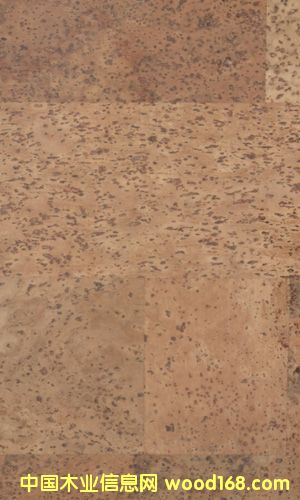 ܛľ�ذ�CF084021